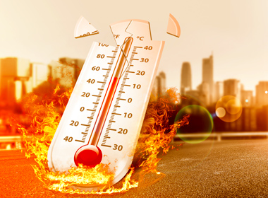 IP獨家授權(quán)